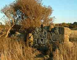 Kilspindie Castle ( remains )